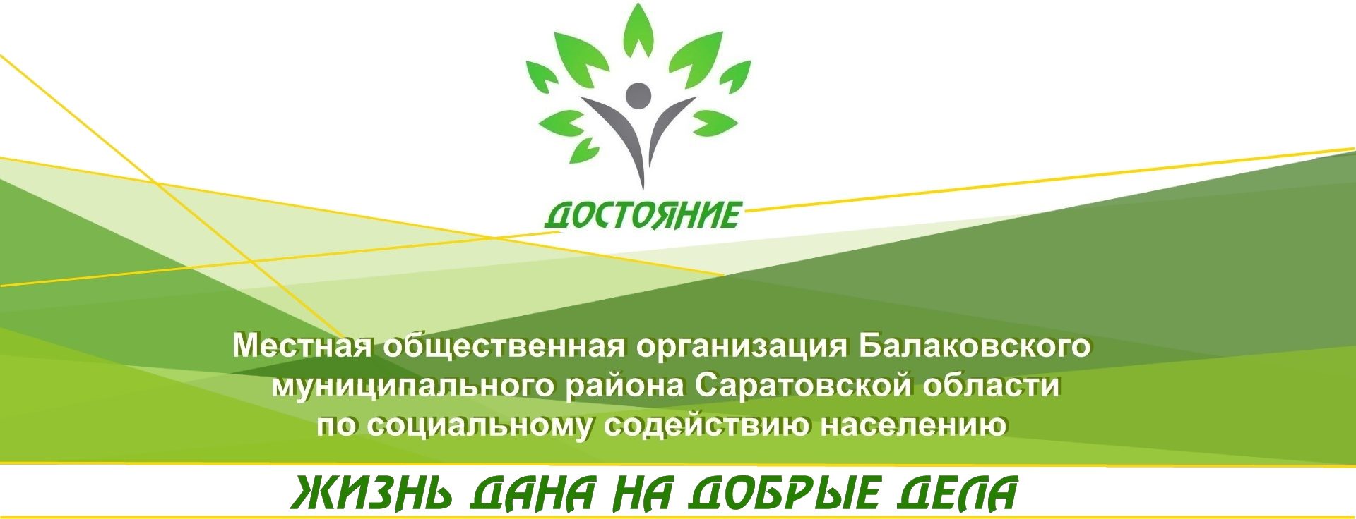 Местная общественная организация Балаковского муниципального района Саратовской области по социальному содействию населению «Достояние»